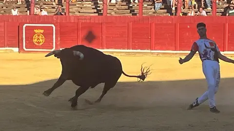 cortes toro san agustín 2025_21