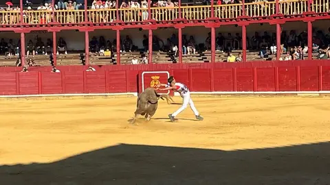cortes toro san agustín 2025_23