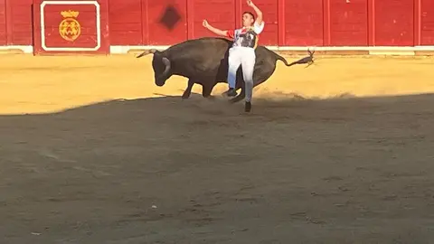 cortes toro san agustín 2025_24