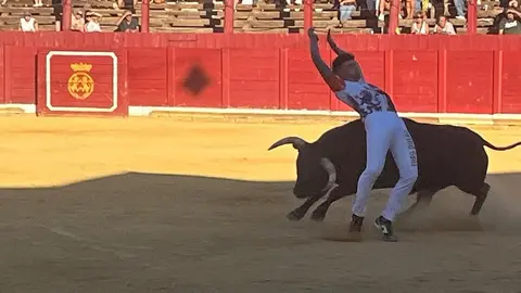 cortes toro san agustín 2025_27