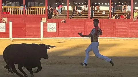 cortes toro san agustín 2025_26