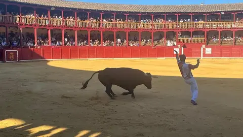 cortes toro san agustín 2025_29