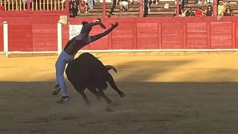 cortes toro san agustín 2025_30