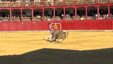 cortes toro san agustín 2025_33