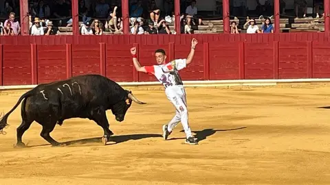 cortes toro san agustín 2025_32