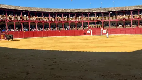 cortes toro san agustín 2025_34