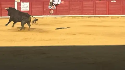 cortes toro san agustín 2025_35