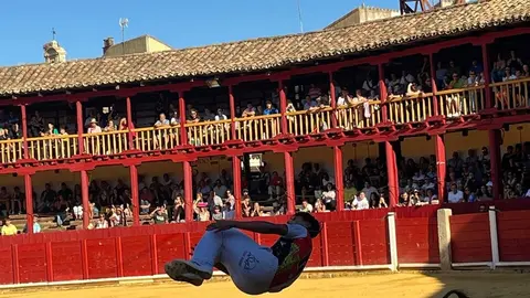 cortes toro san agustín 2025_37