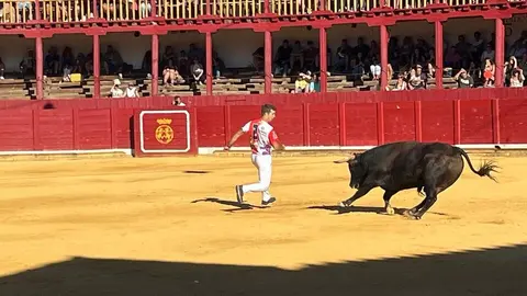 cortes toro san agustín 2025_38