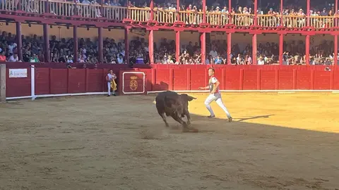 cortes toro san agustín 2025_40