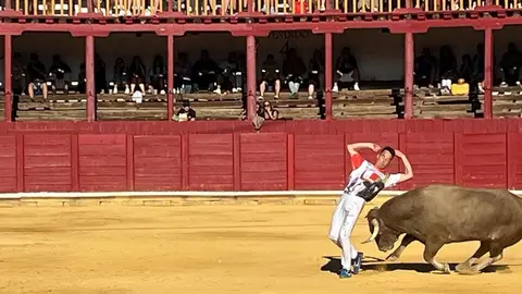 cortes toro san agustín 2025_41