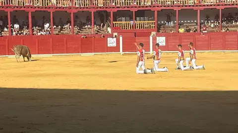 cortes toro san agustín 2025_43