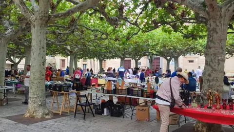 El rastro de antigüedades de Viriato vuelve a llenar de vida la plaza