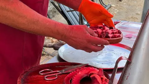 Coreses despide el verano con pulpo, gaitas y vermut