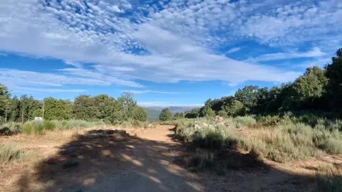 cielo empedrado