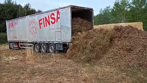 trailer cargado con cáscaras de almendra
