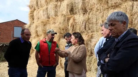 Más de 47.000 animales reciben alimento de emergencia tras los incendios en Castilla y León