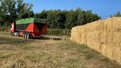 trailer cargado en San Pedro de la Viña  (1)