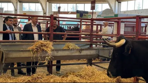 Feria Agropecuaria en Salamanca Faúndez