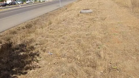 Limpieza accesos a Toro