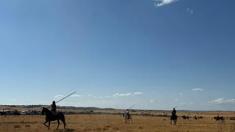 Espante de Carbajales