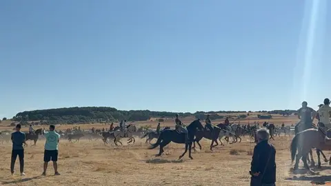 Espante de Carbajales