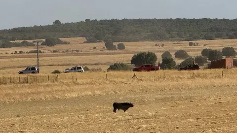 Espante de Carbajales