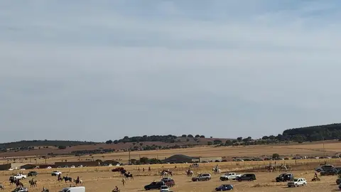 Espante de Carbajales