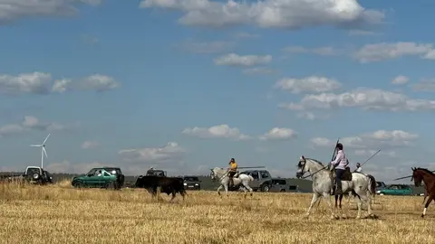 Espante de Carbajales