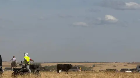 Espante de Carbajales