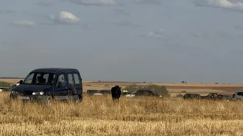 Espante de Carbajales