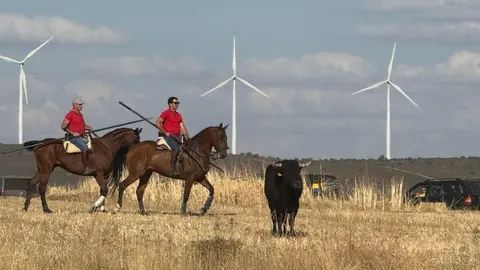 Espante de Carbajales