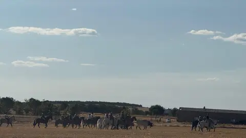 Espante de Carbajales