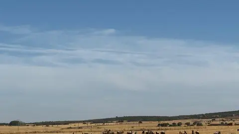 Espante de Carbajales