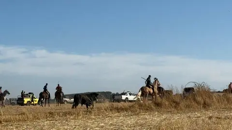 Espante de Carbajales