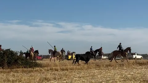 Espante de Carbajales