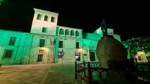 La Diputación de Zamora iluminada de verde