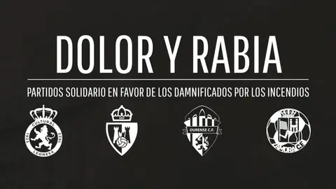 PARTIDO-SOLIDARIO-1170x650