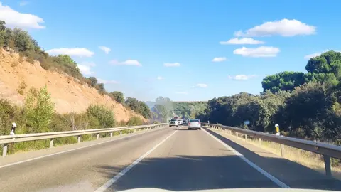 Incendio cuneta N-122