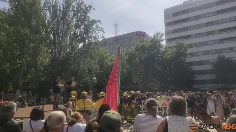 Manifestación incendios Zamora_31