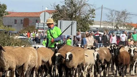 trashumancia san vitero_17
