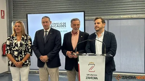 consejo de alcaldes _2