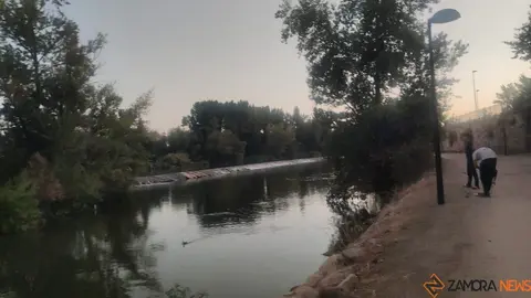 R&iacute;o Duero a su paso por Zamora