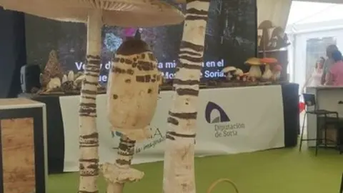 Feria Internacional del Ecoturismo Naturcyl Segovia 