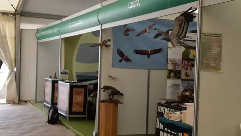 Feria Internacional del Ecoturismo Naturcyl Segovia _16