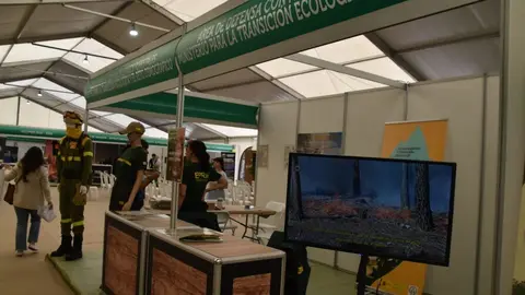 Feria Internacional del Ecoturismo Naturcyl Segovia _19