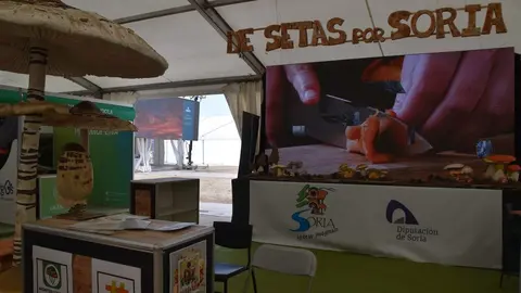 Feria Internacional del Ecoturismo Naturcyl Segovia _23