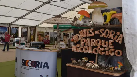 Feria Internacional del Ecoturismo Naturcyl Segovia _26