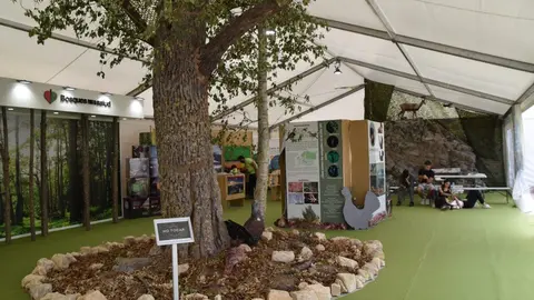Feria Internacional del Ecoturismo Naturcyl Segovia _29