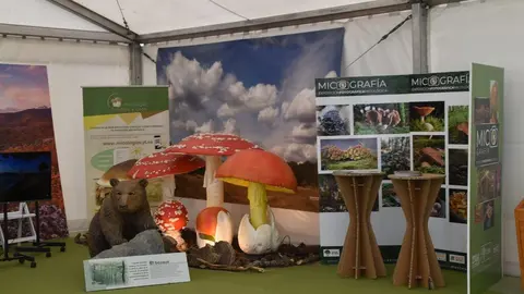 Feria Internacional del Ecoturismo Naturcyl Segovia _31
